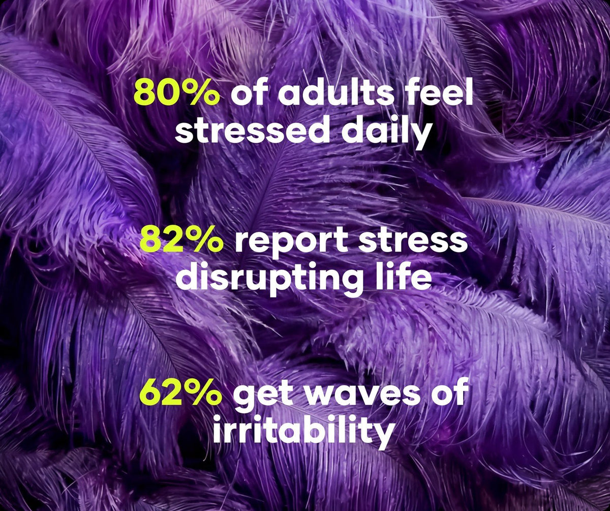 Daily stress and irritability statistics over purple feathers from Flewd